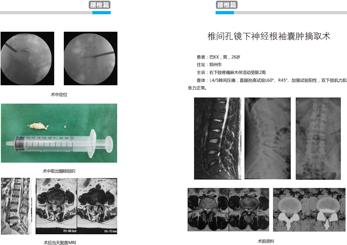 新澳门免费公开资料大全