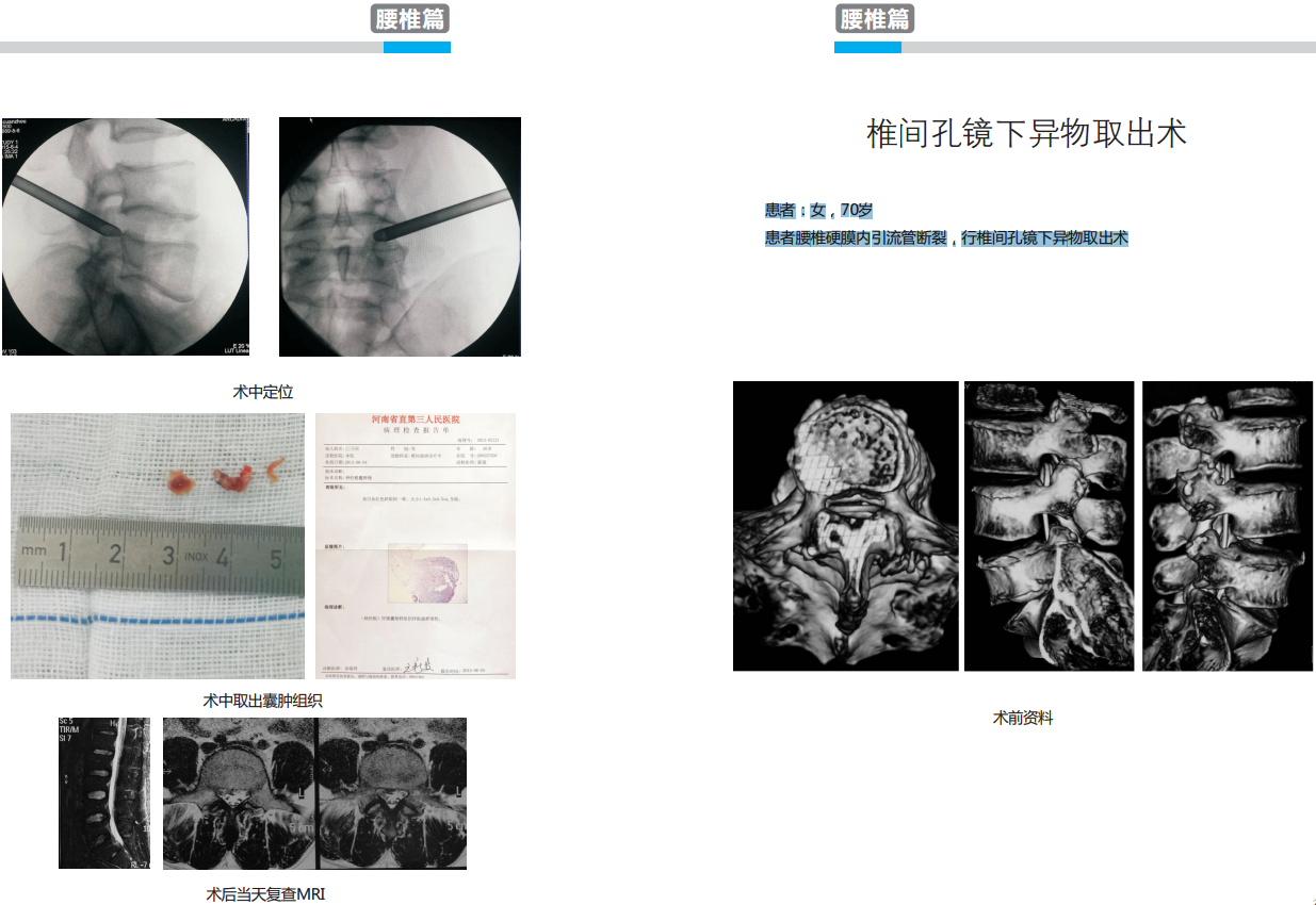 新澳门免费公开资料大全