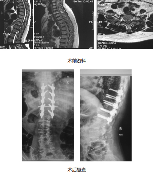 新澳门免费公开资料大全