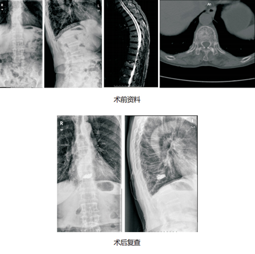 新澳门免费公开资料大全