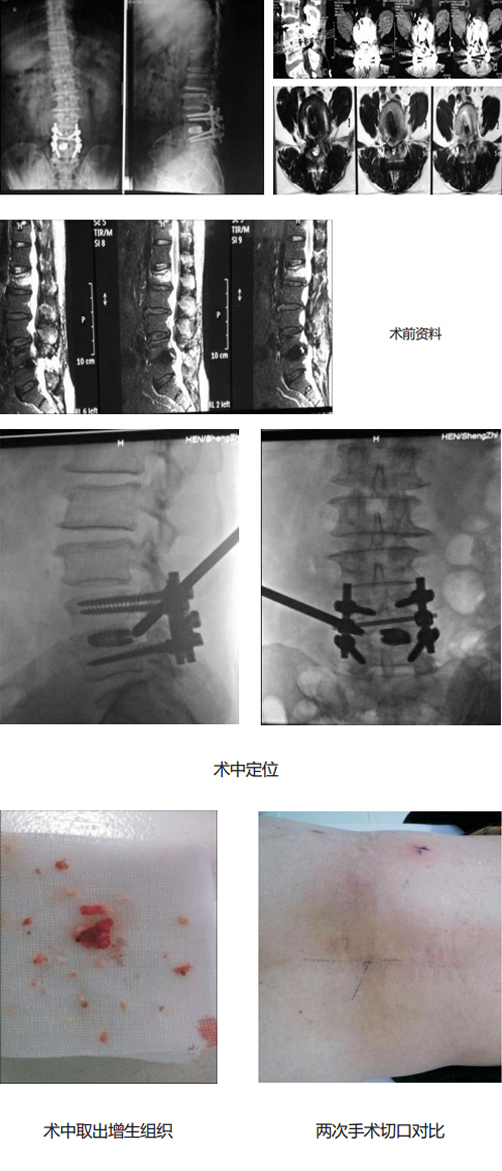 新澳门免费公开资料大全