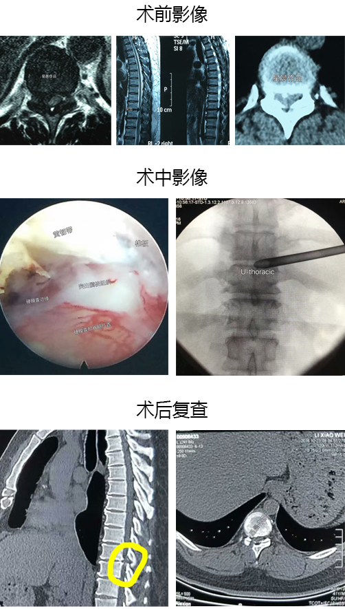 新澳门免费公开资料大全