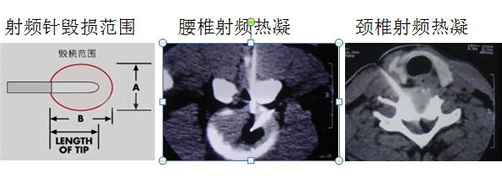 新澳门免费公开资料大全