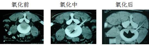 新澳门免费公开资料大全