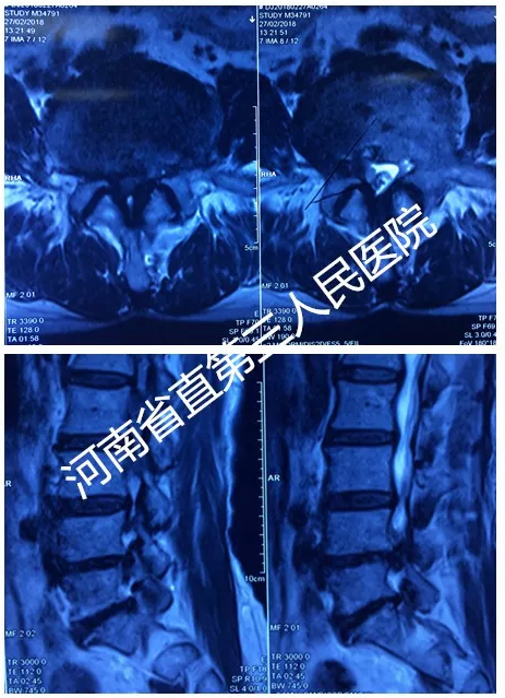 新澳门免费公开资料大全