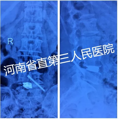 新澳门免费公开资料大全