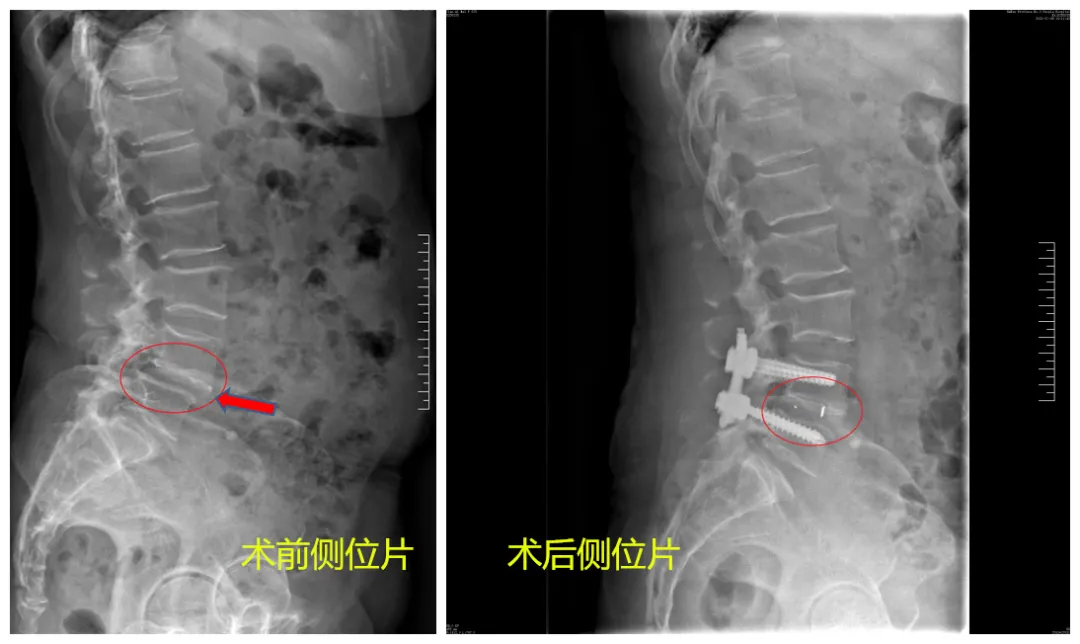 新澳门免费公开资料大全