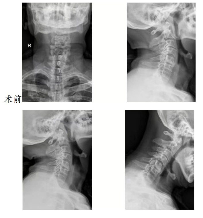 新澳门免费公开资料大全