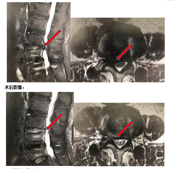 新澳门免费公开资料大全