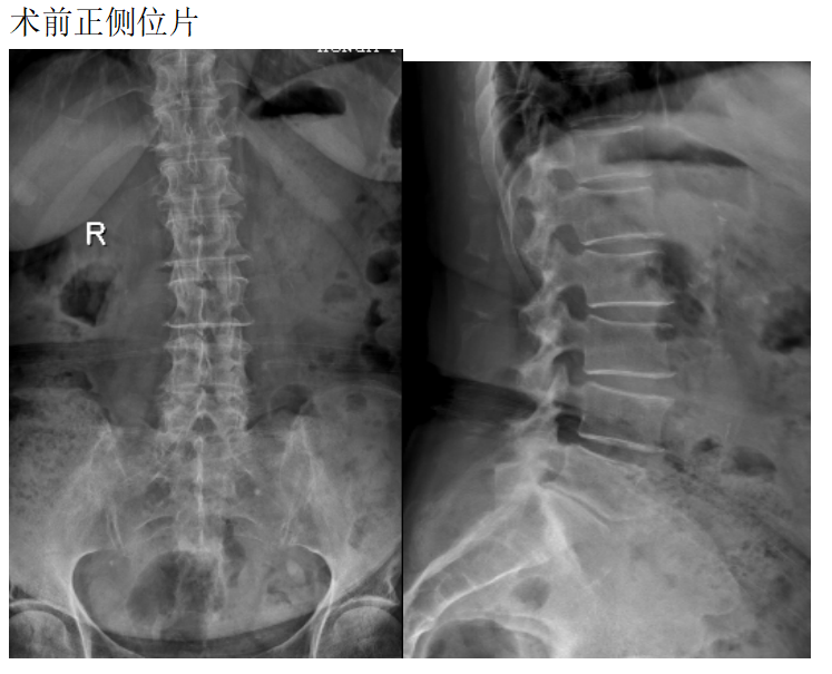 新澳门免费公开资料大全