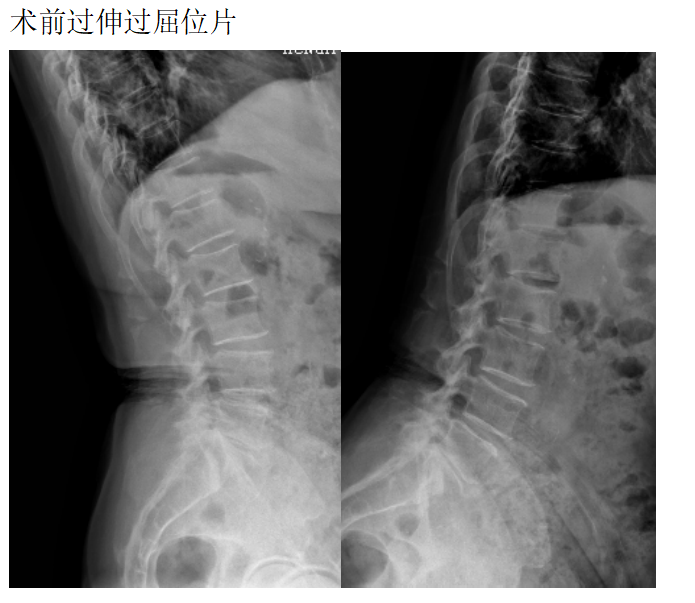 新澳门免费公开资料大全