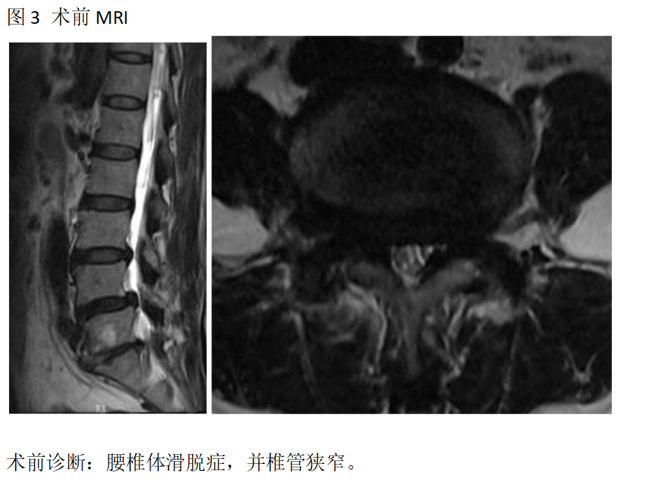 新澳门免费公开资料大全